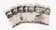 FW505 Short Shank Dry Barbless #10
