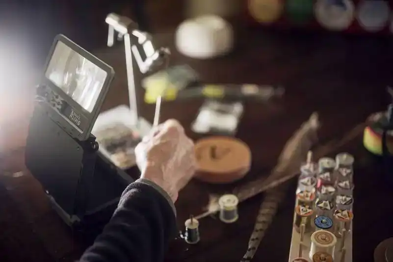 FlyVue